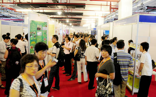 圖片關鍵詞 圖片關鍵詞