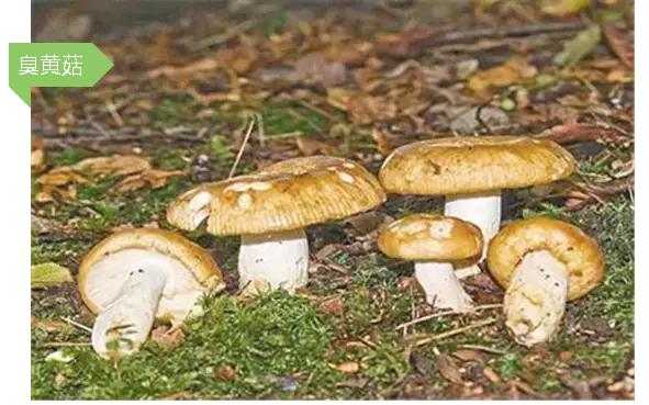 圖片關鍵詞 圖片關鍵詞