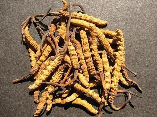 圖片關鍵詞 圖片關鍵詞