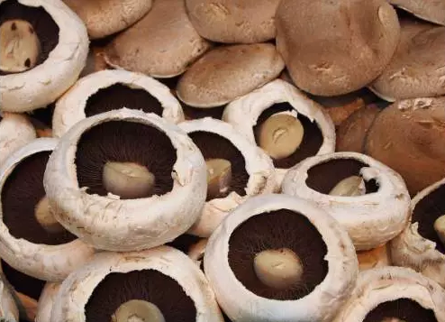 圖片關(guān)鍵詞 http://www.mdcenments.com.cn/ewebeditor/uploadfile/20170914091257506001.png