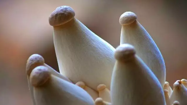 圖片關(guān)鍵詞 http://www.mdcenments.com.cn/ewebeditor/uploadfile/20170914091357269001.png