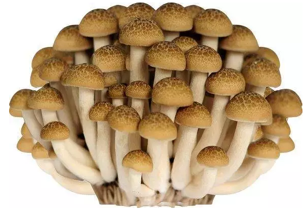 圖片關(guān)鍵詞 http://www.mdcenments.com.cn/ewebeditor/uploadfile/20170914091421667001.png