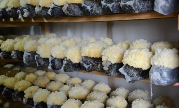 圖片關鍵詞 圖片關鍵詞