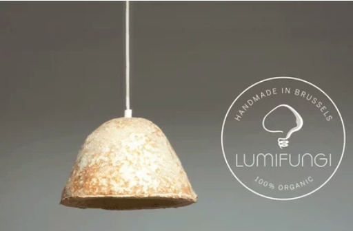 圖片關鍵詞 http://www.mdcenments.com.cn/ewebeditor/uploadfile/20180727085601461001.png