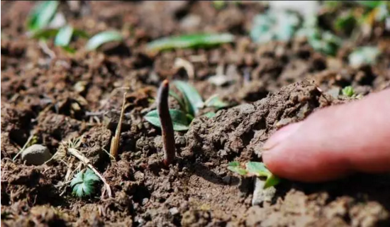 圖片關(guān)鍵詞 http://www.mdcenments.com.cn/ewebeditor/uploadfile/20180814102741148001.png