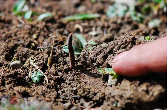圖片關鍵詞 http://www.mdcenments.com.cn/ewebeditor/uploadfile/20180921101313325001.png