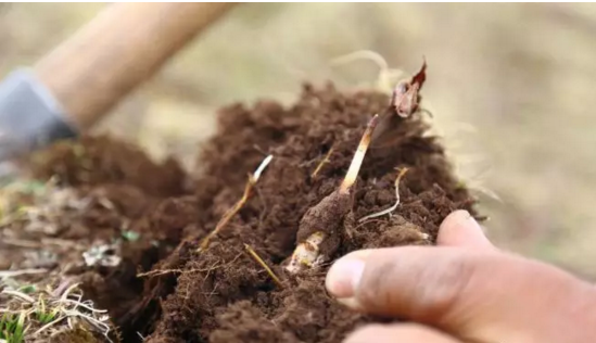 圖片關鍵詞 http://www.mdcenments.com.cn/ewebeditor/uploadfile/20180921101228689001.png