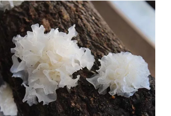 圖片關鍵詞 圖片關鍵詞