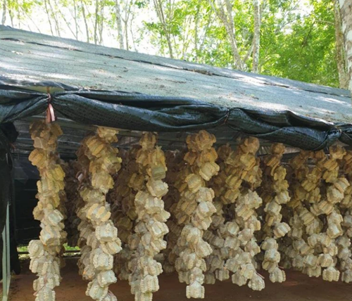 圖片關鍵詞 圖片關鍵詞