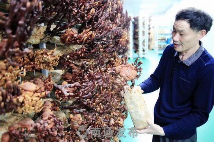 圖片關(guān)鍵詞 圖片關(guān)鍵詞