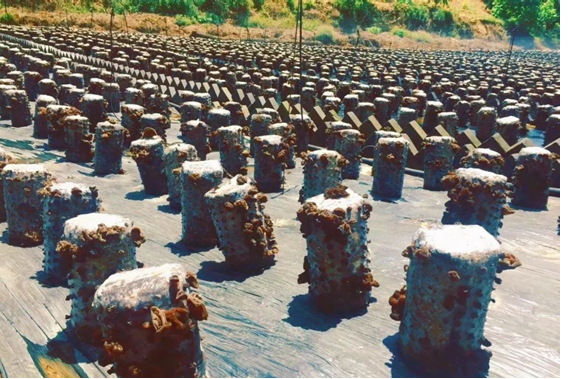 圖片關鍵詞 圖片關鍵詞