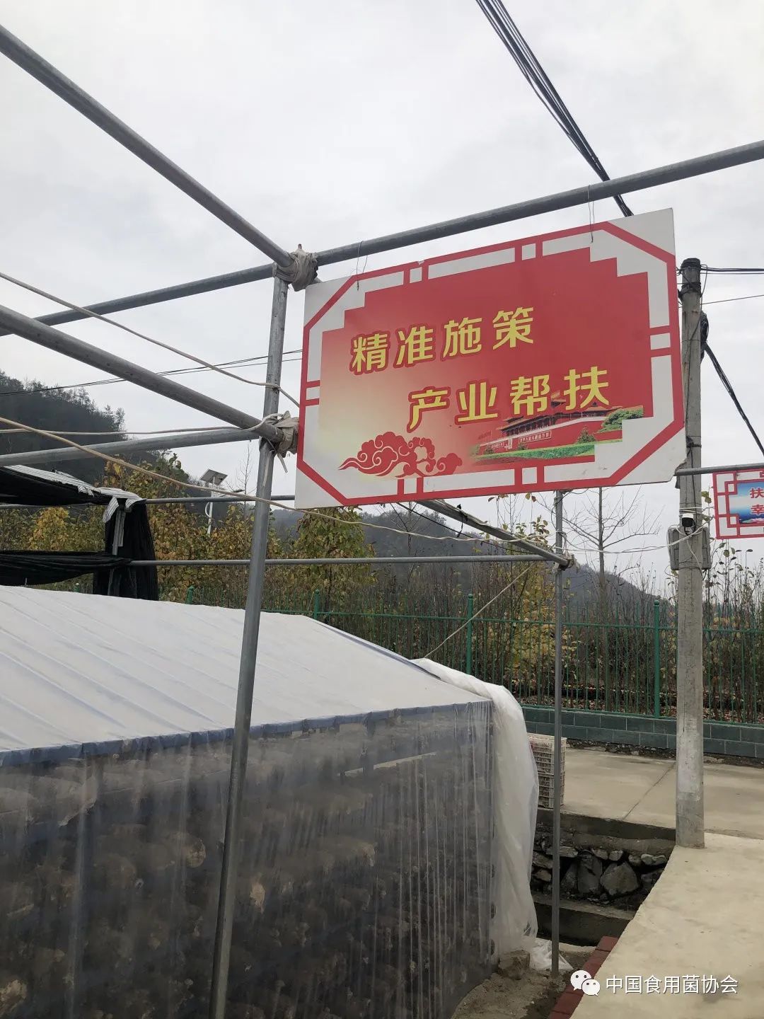 圖片關鍵詞 https://mmbiz.qpic.cn/mmbiz_jpg/qmUUOFzKOyScu82LCAxX6yyEJ0QS7ugu8y2wbZlZG2F9hIibEU49pmeXHovJicMhVaoGfPiah6dxUKtqIQ8icrFOMA/640?wx_fmt=jpeg