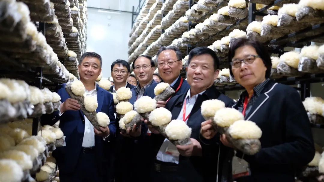 圖片關鍵詞 圖片