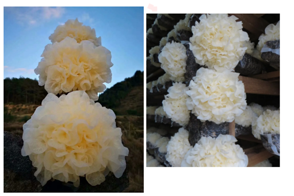 圖片關鍵詞 圖片關鍵詞