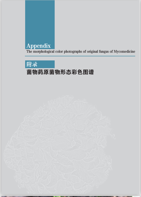 圖片關(guān)鍵詞 圖片