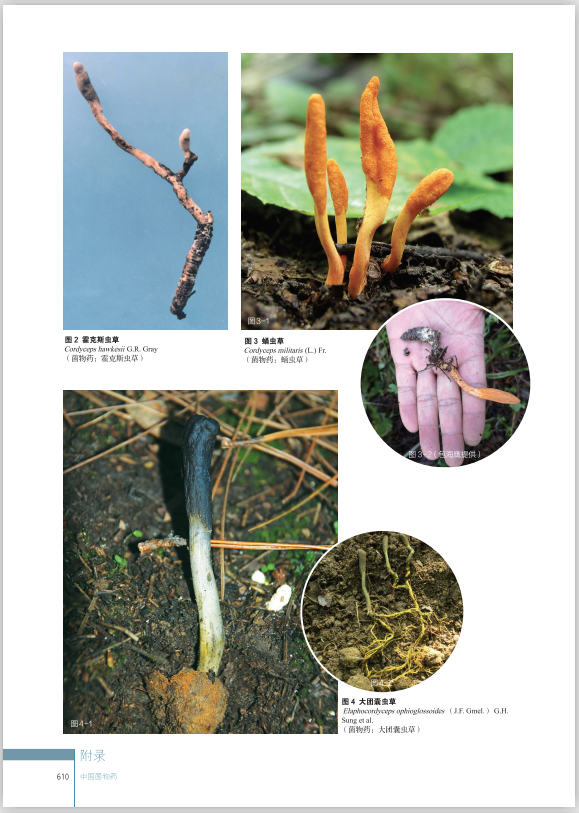 圖片關(guān)鍵詞 圖片