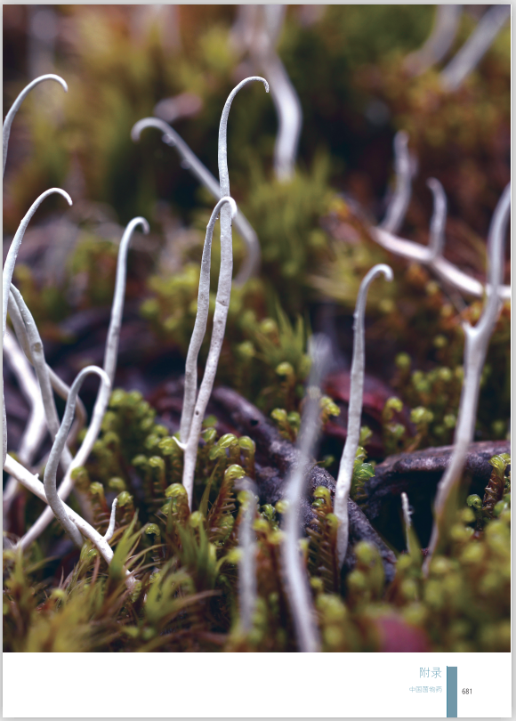 圖片關(guān)鍵詞 圖片