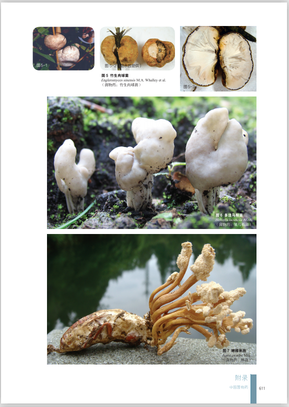 圖片關(guān)鍵詞 圖片