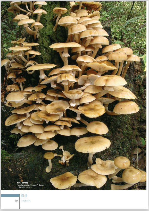 圖片關(guān)鍵詞 圖片