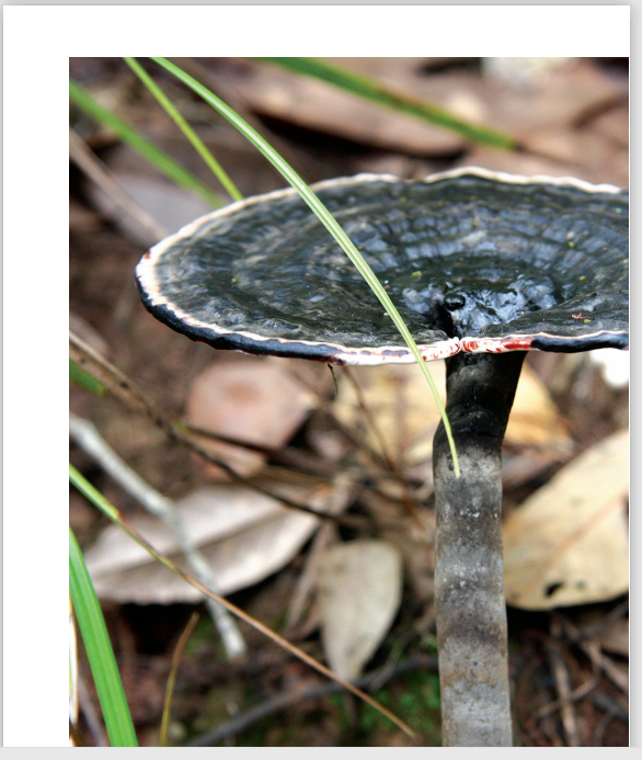 圖片關(guān)鍵詞 圖片