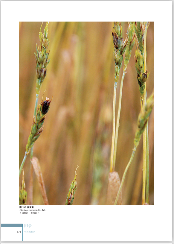 圖片關(guān)鍵詞 圖片