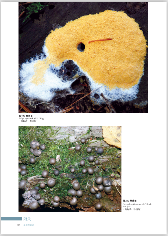 圖片關(guān)鍵詞 圖片