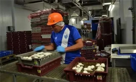 圖片關鍵詞 圖片