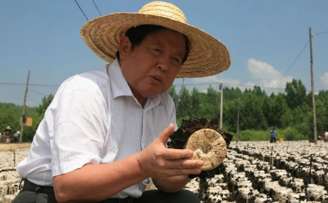 圖片關鍵詞 圖片