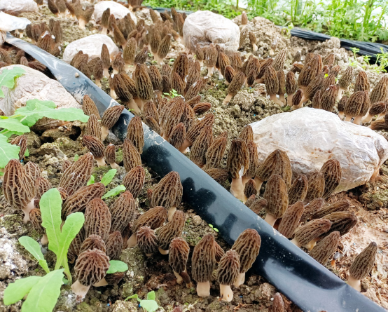 圖片關(guān)鍵詞 圖片