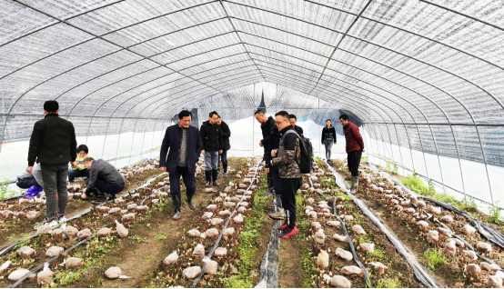 圖片關(guān)鍵詞 圖片