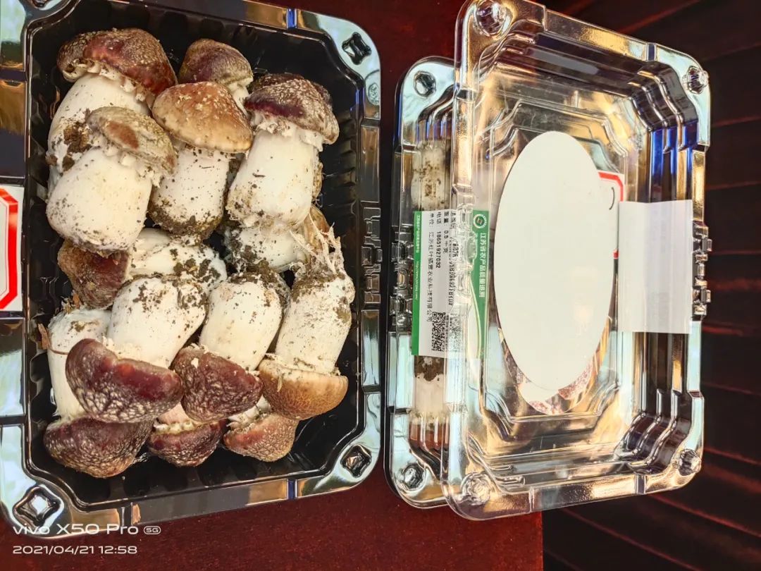 圖片關鍵詞 圖片