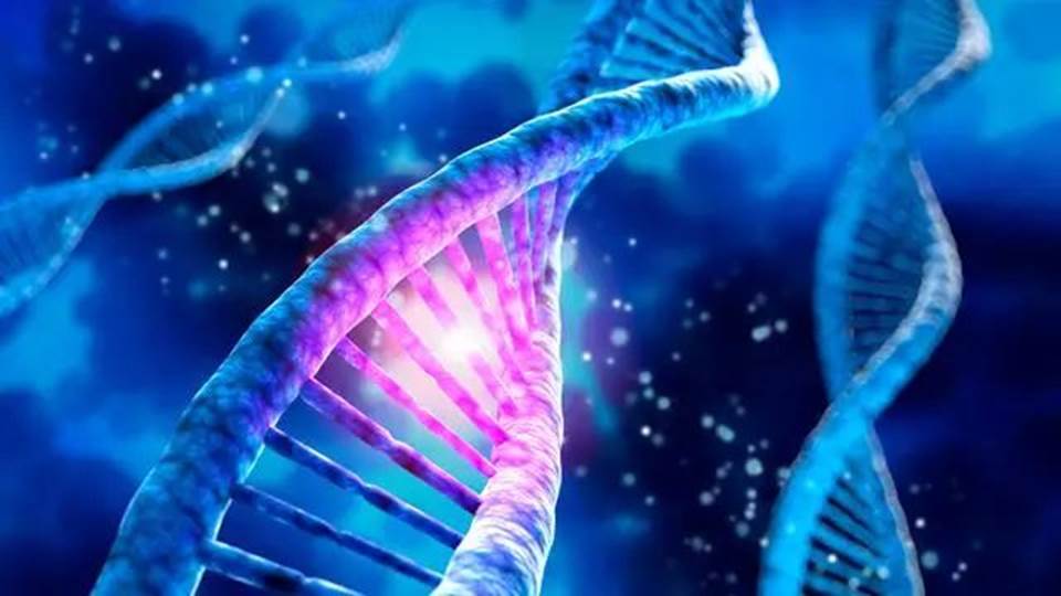 圖片關鍵詞 圖片