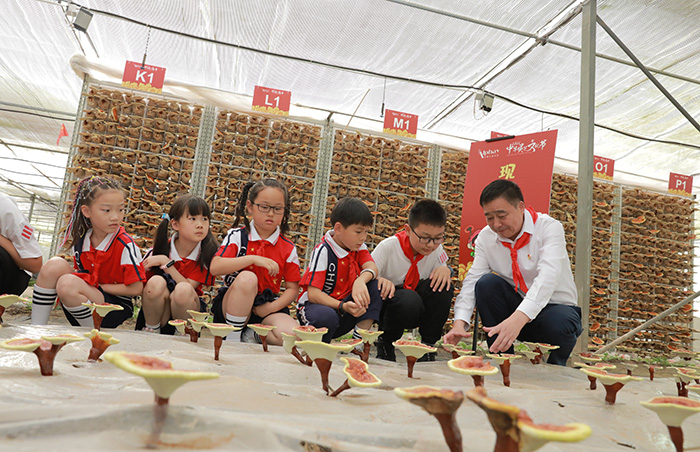 圖片關鍵詞 圖片關鍵詞