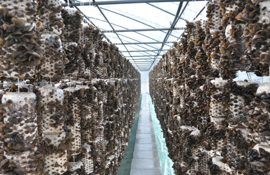 圖片關鍵詞 圖片關鍵詞