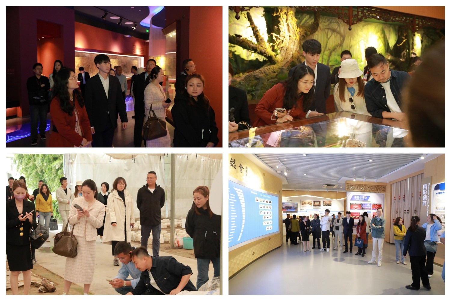 圖片關鍵詞 圖片關鍵詞