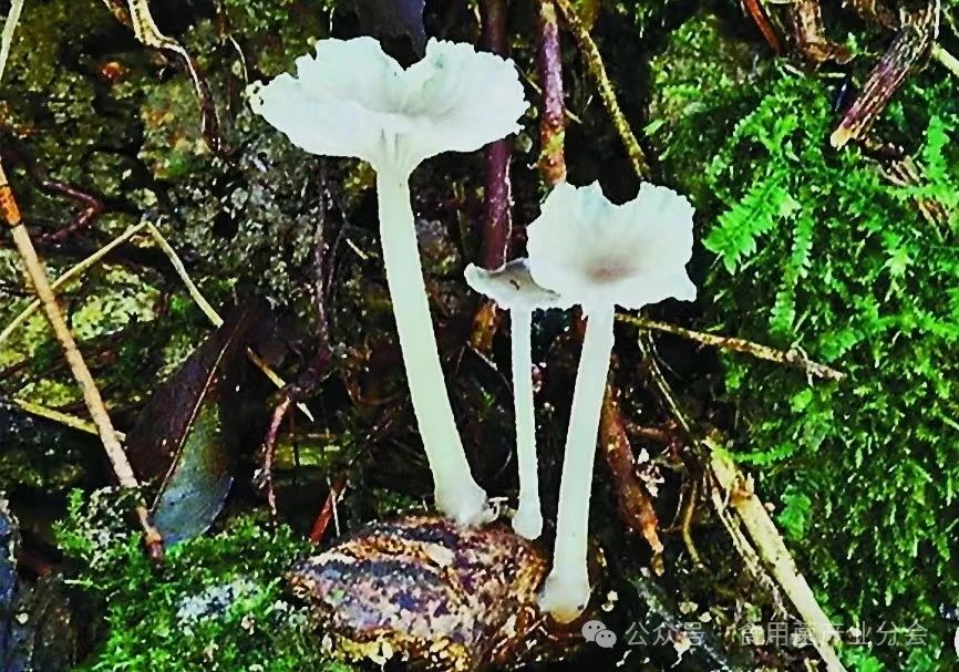 圖片關鍵詞 圖片關鍵詞