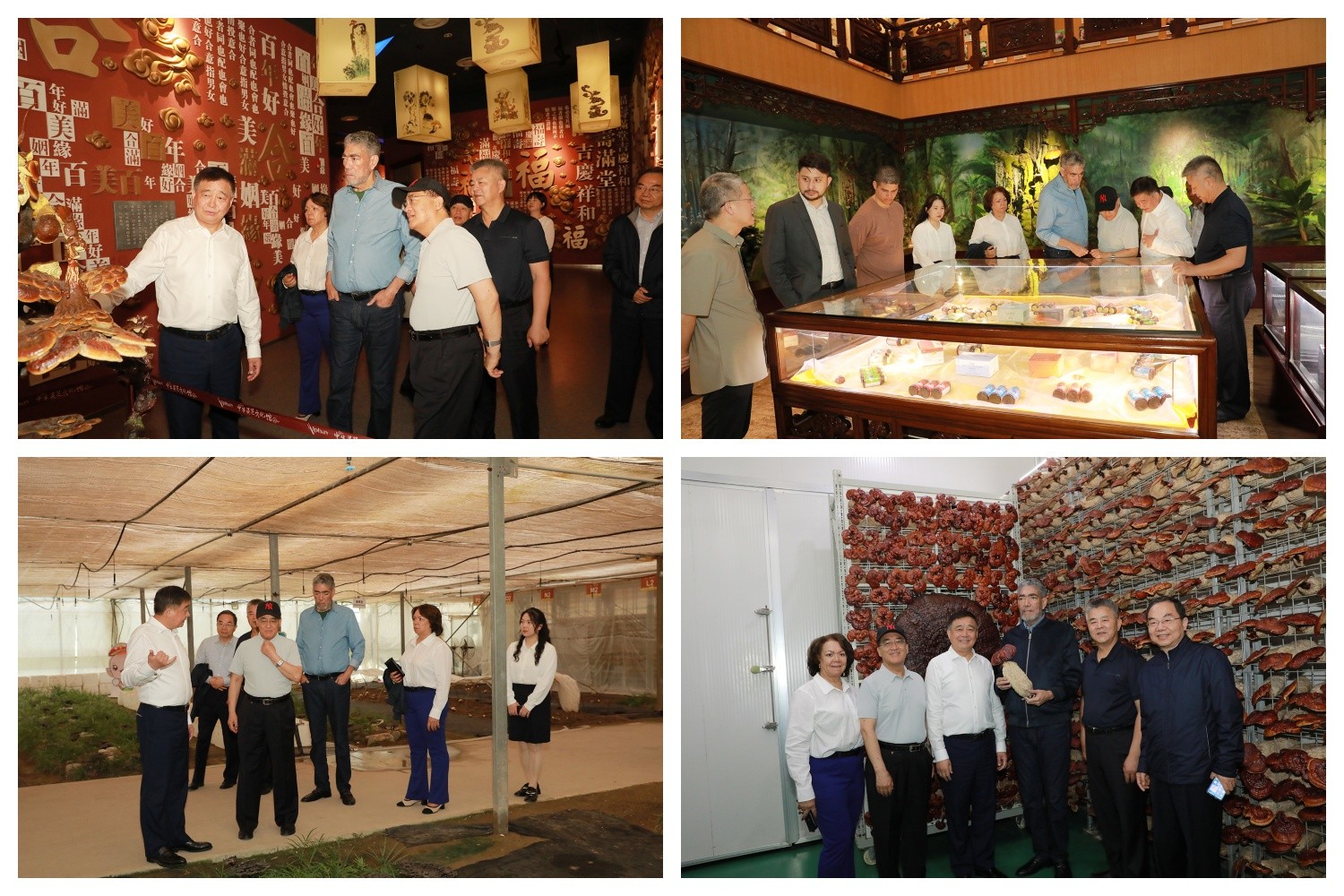 圖片關鍵詞 圖片關鍵詞