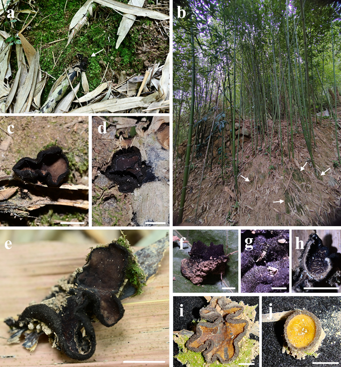 圖片關(guān)鍵詞 圖片關(guān)鍵詞